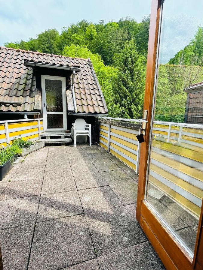 Gemuetliches Apartment Mit Kamin Und Wohnkueche Херцберг-ам-Гарц Экстерьер фото