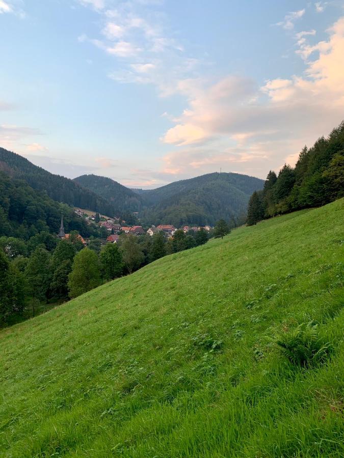 Gemuetliches Apartment Mit Kamin Und Wohnkueche Херцберг-ам-Гарц Экстерьер фото